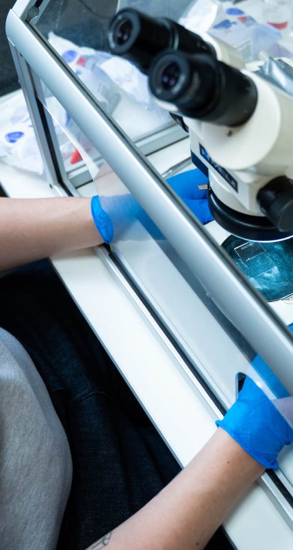 Asbestos Consultancy Management and Remediation