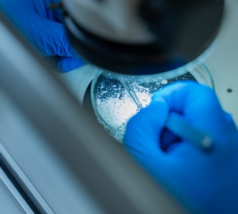 Why Vintec is Different