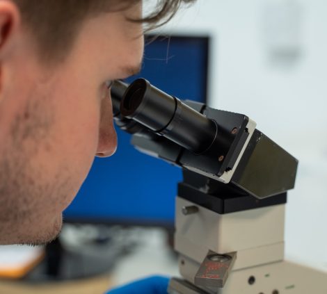 Lab Tests for asbestos